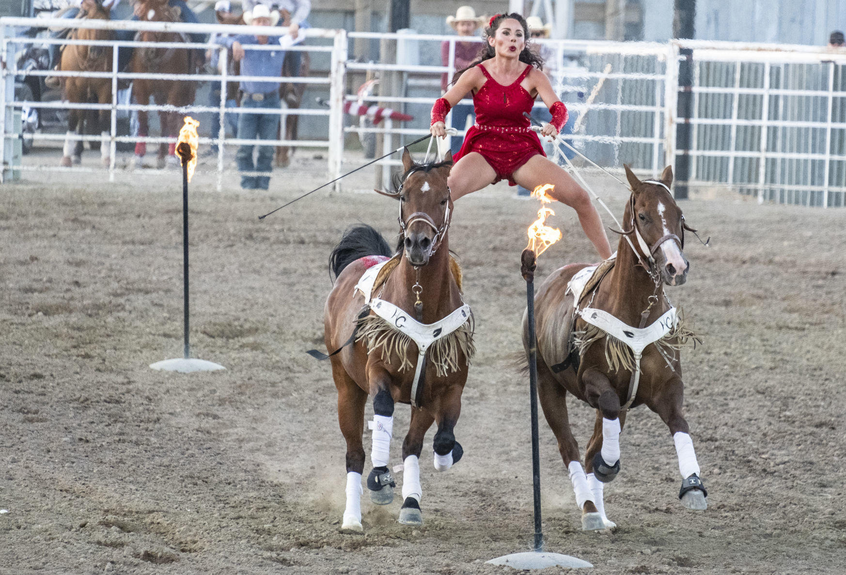 Ponies, Pistols and Pistons